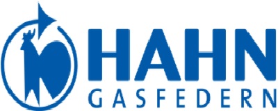 Hahn Gasfedern logo