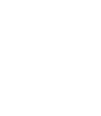 ALBA ELETTRONICA logo