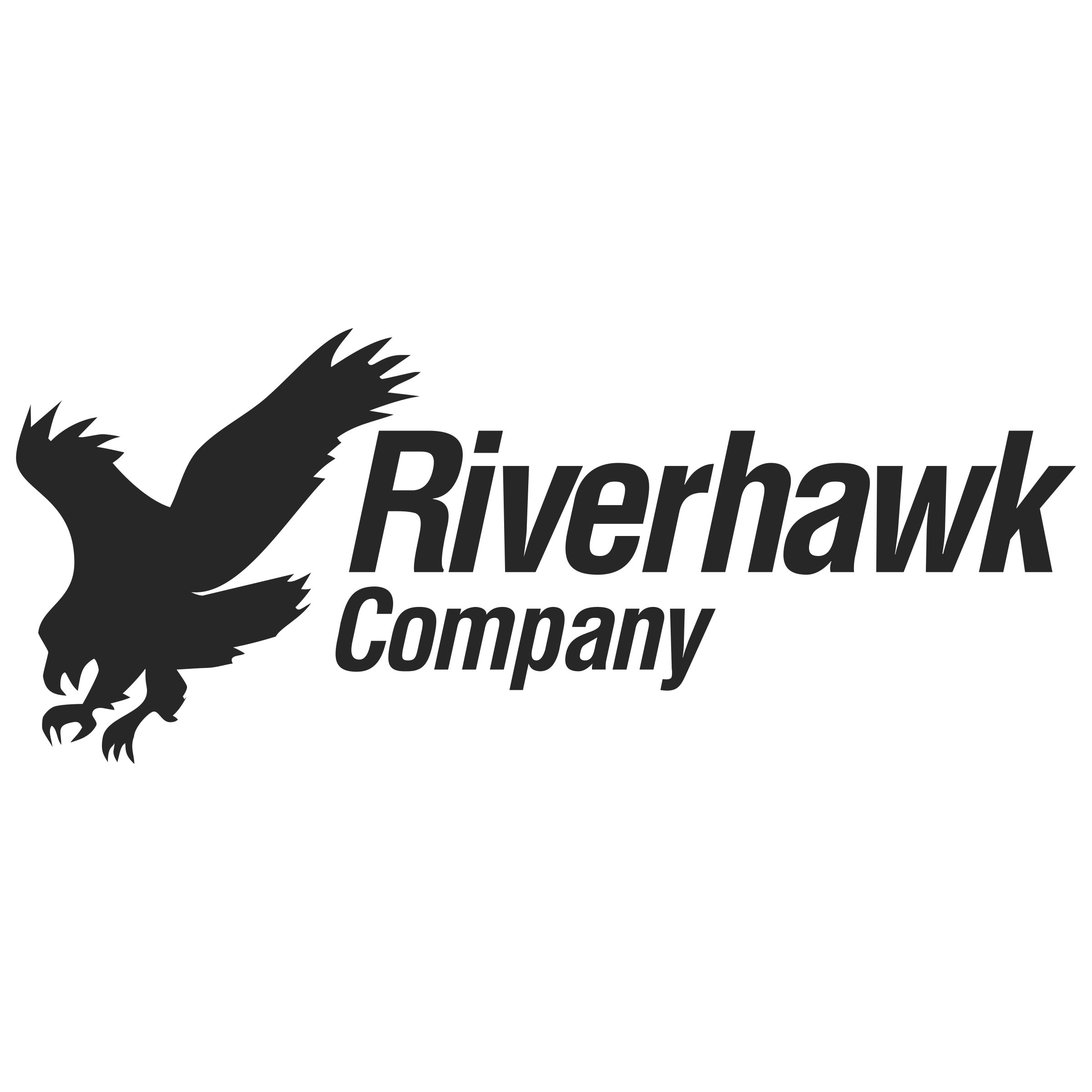 Riverhawk logo Riverhawk logo