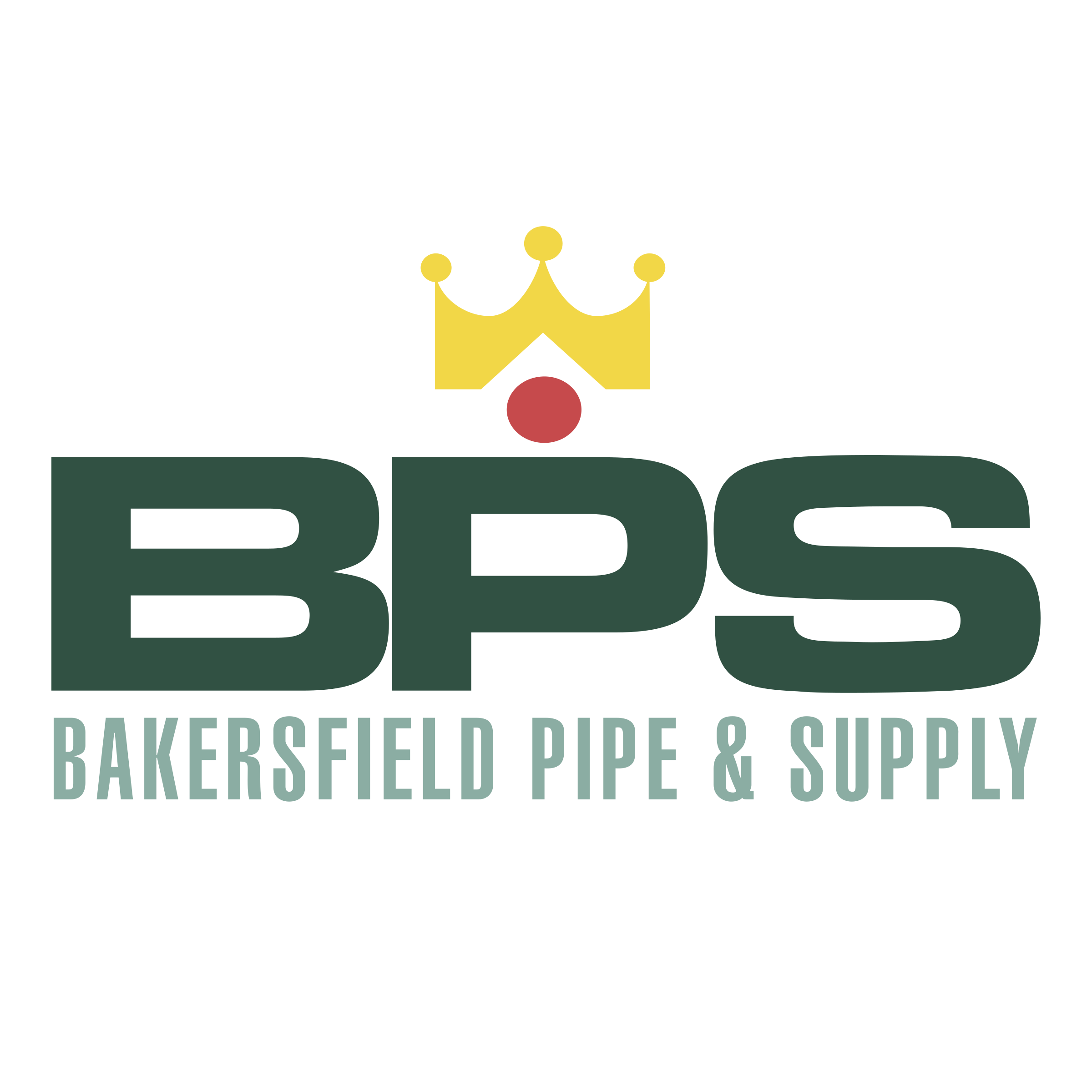 BPS logo BPS logo