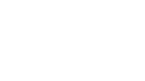 phg Peter Hengstler logo phg Peter Hengstler logo