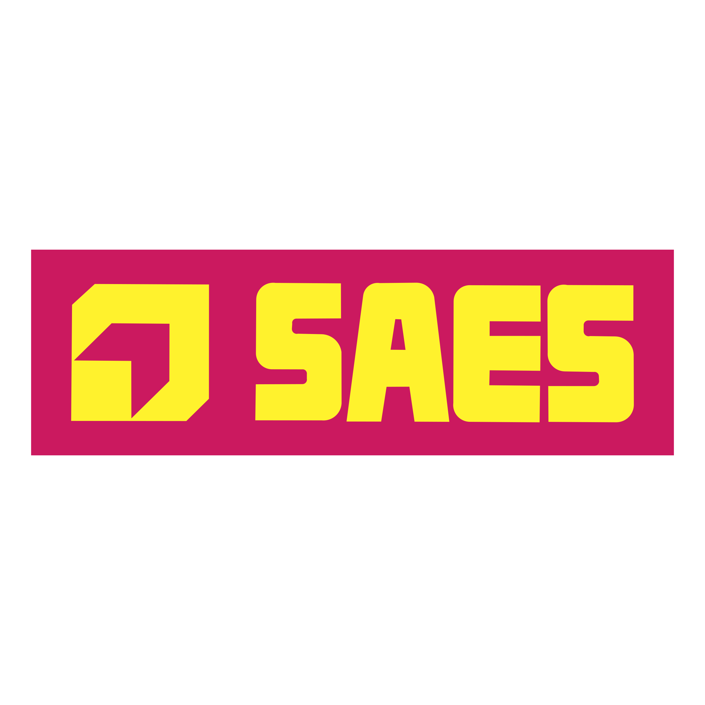 SAES logo