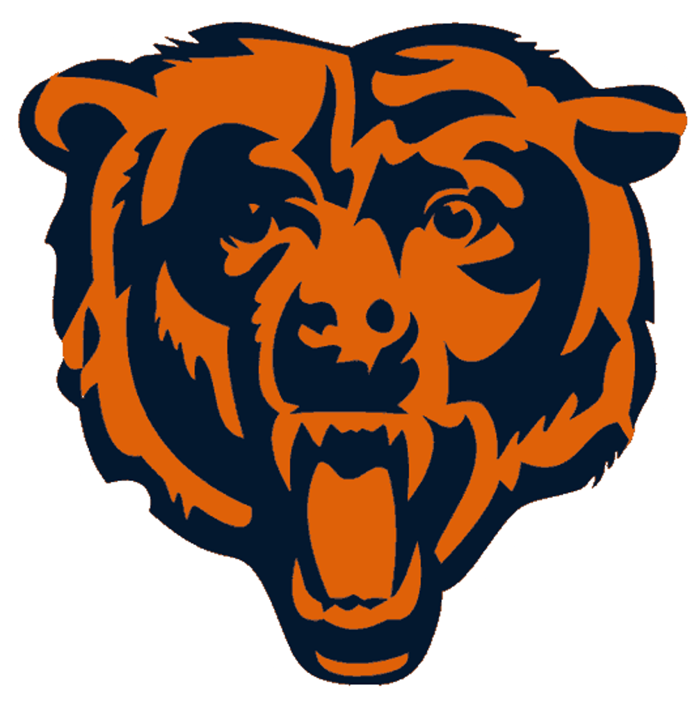 BAER FEDERN logo