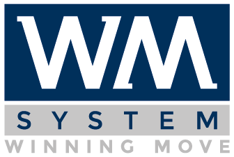 WM systems logo WM systems logo