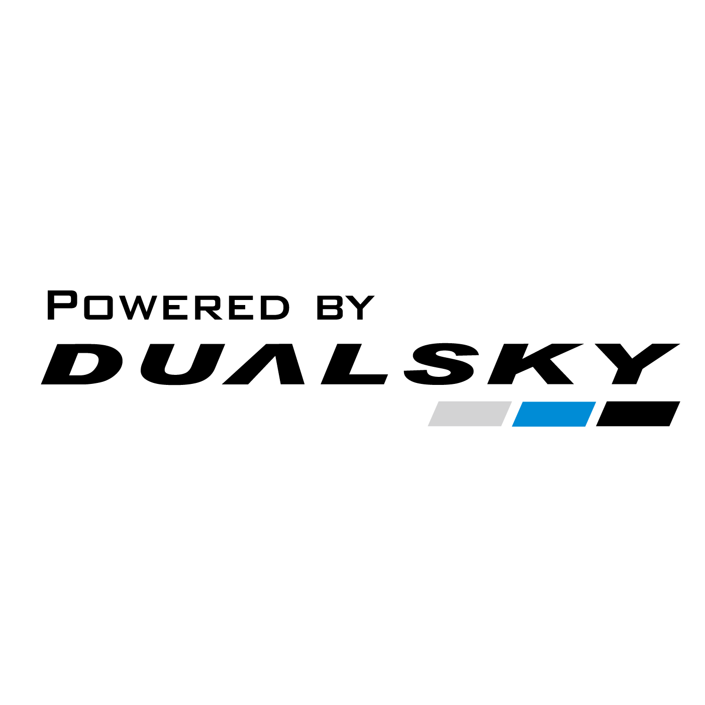 Dualsky logo Dualsky logo
