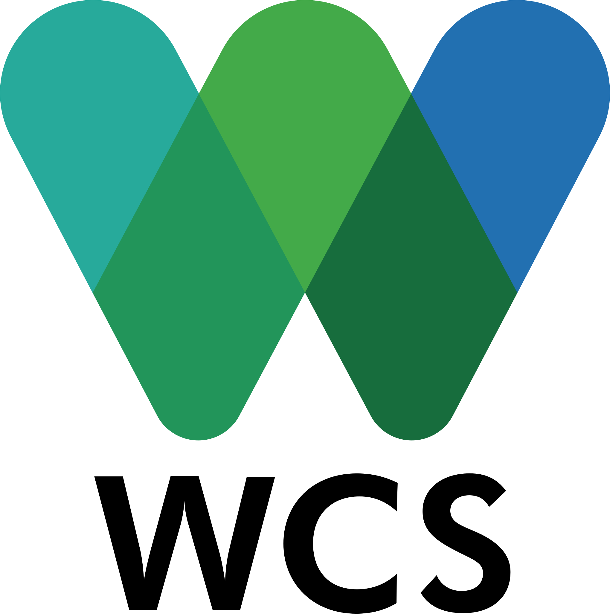 WCS logo WCS logo