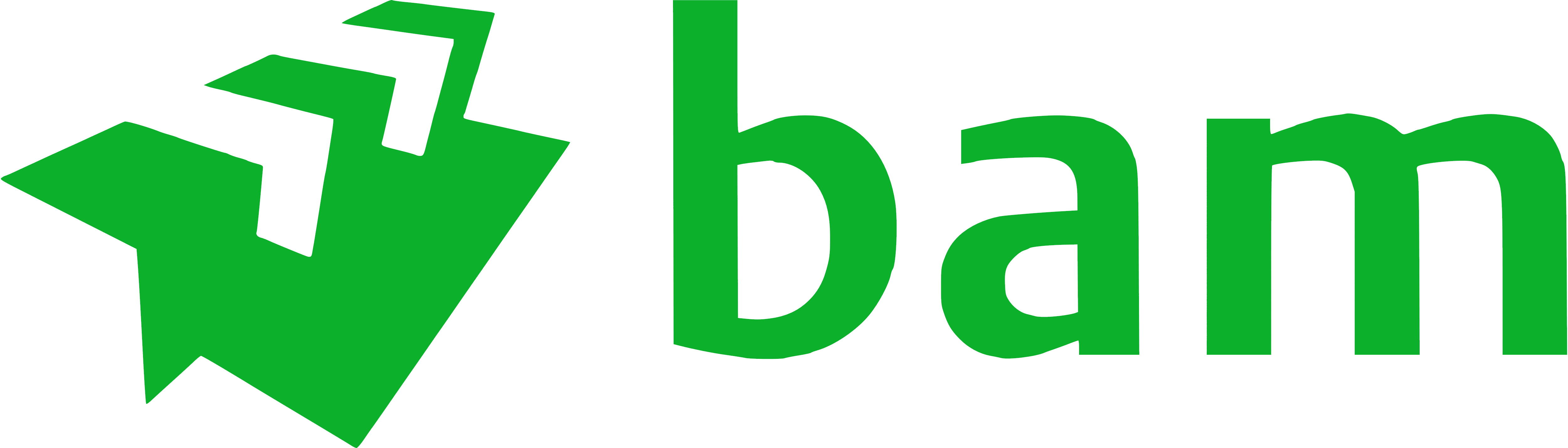 BAM logo BAM logo