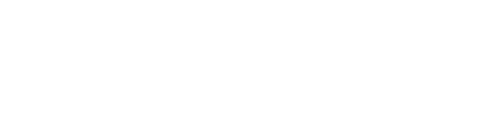 LASIT SPA logo
