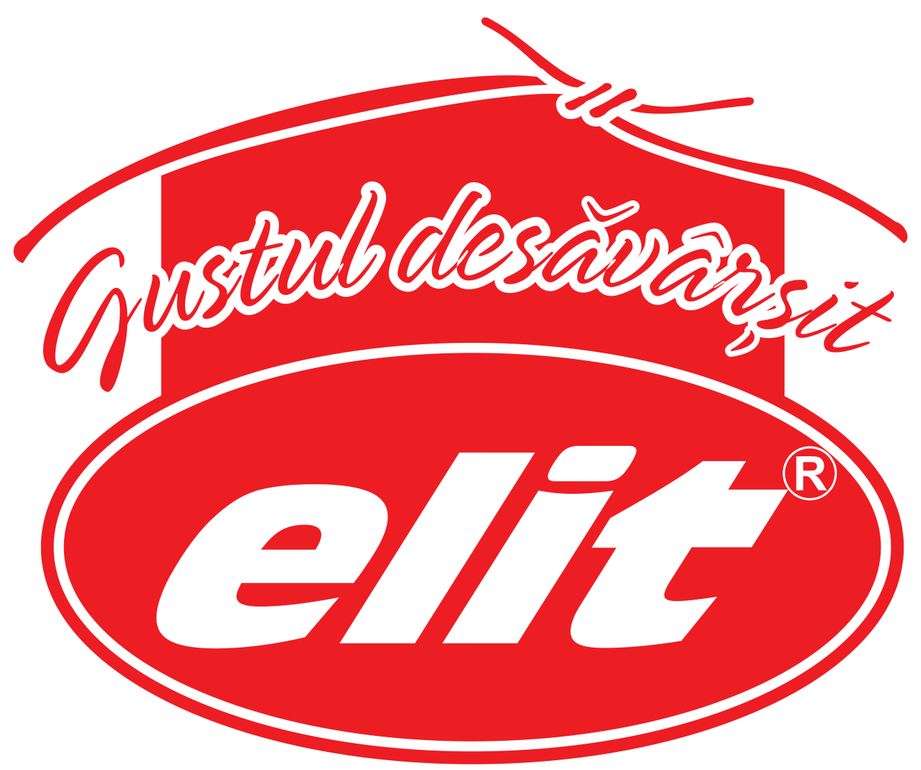 ELIT SRL logo ELIT SRL logo
