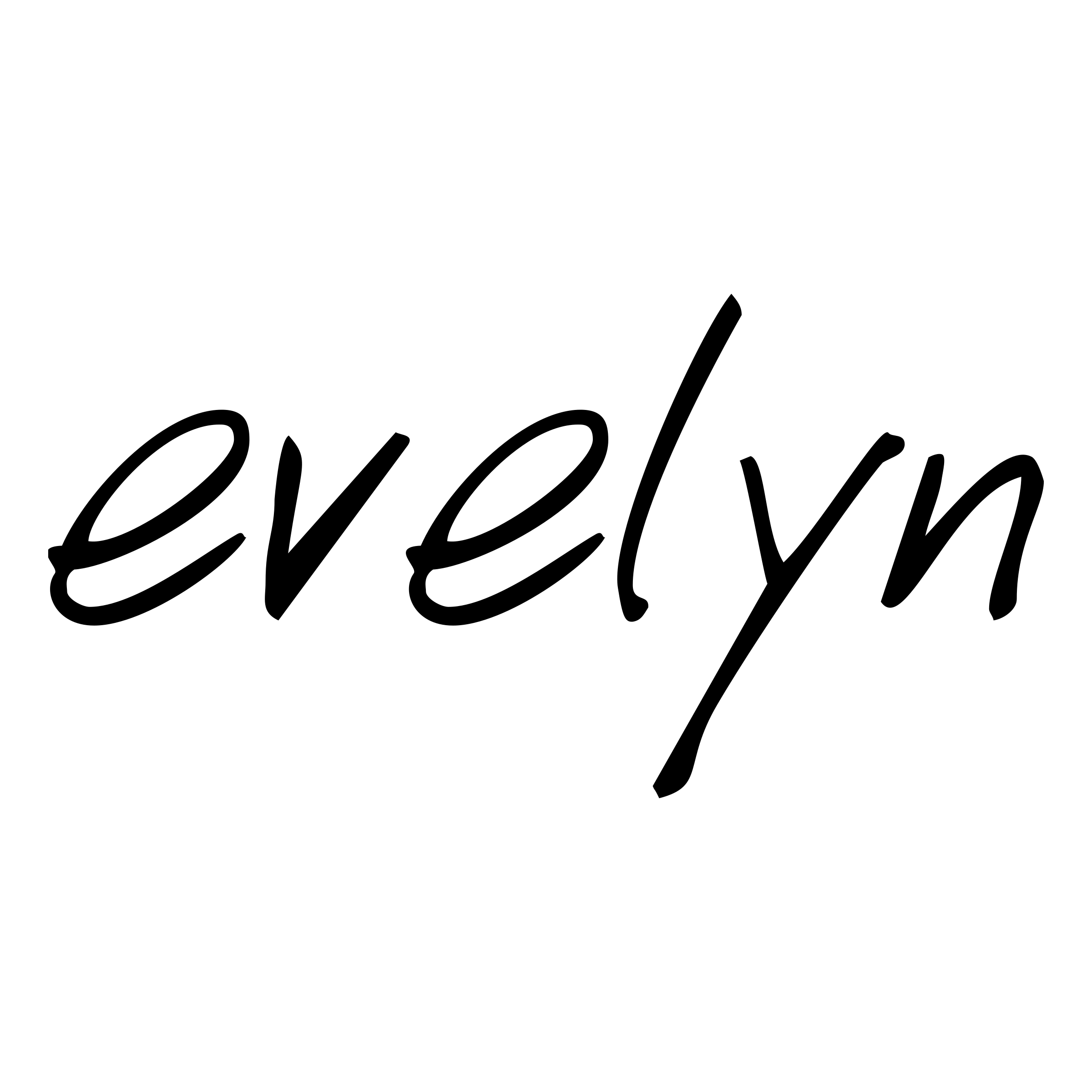 EVERLIN logo EVERLIN logo