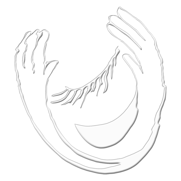 AIFEN logo AIFEN logo