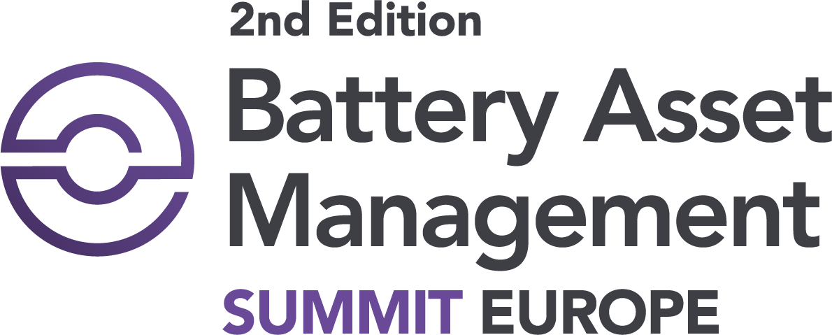 Drive System Europe logo Drive System Europe logo