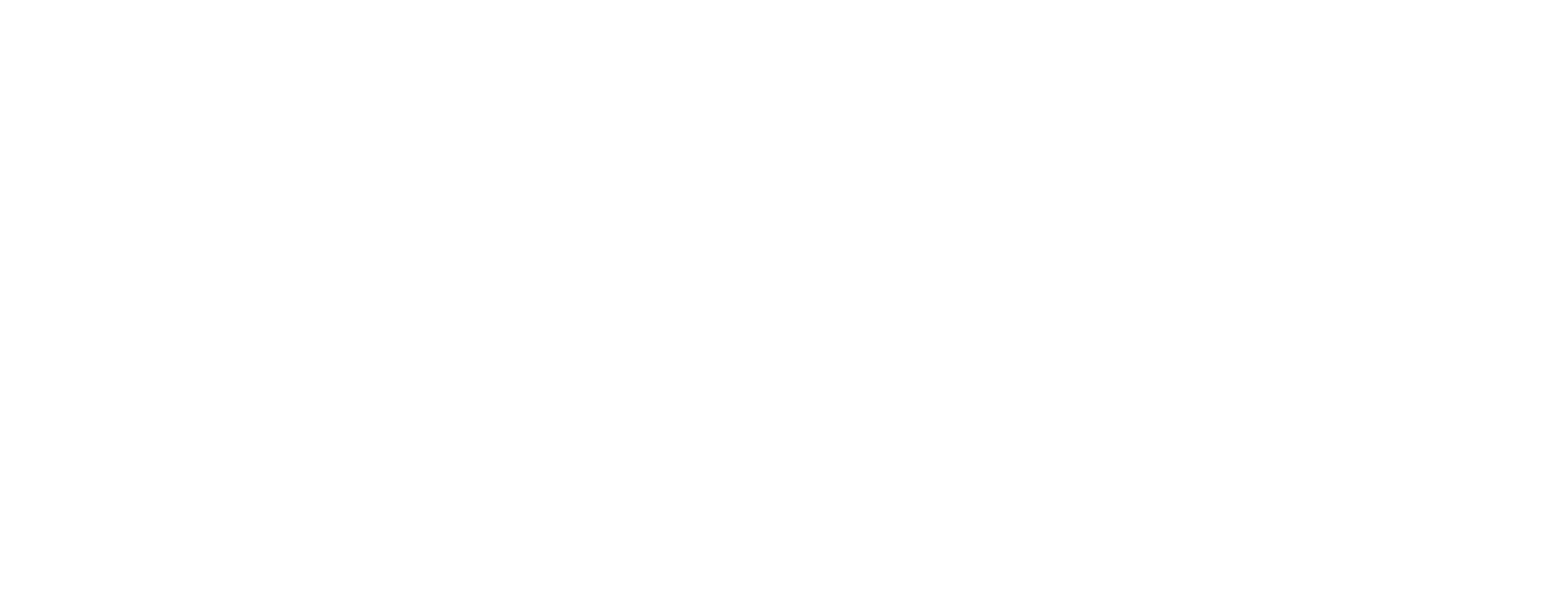 SITE PRO 1 logo SITE PRO 1 logo