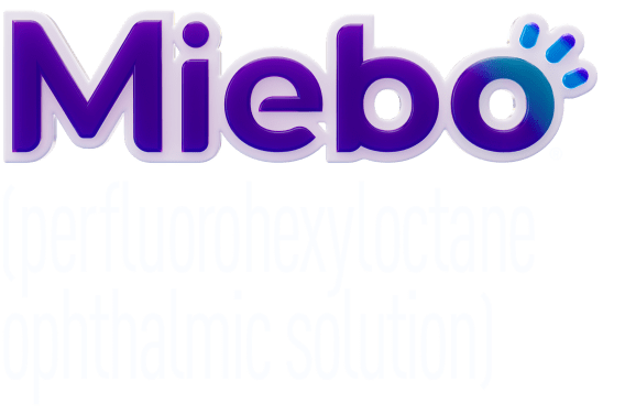 mibbo logo mibbo logo