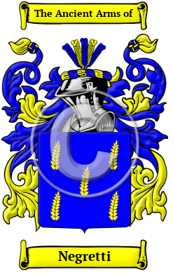 NEGRETTI logo NEGRETTI logo