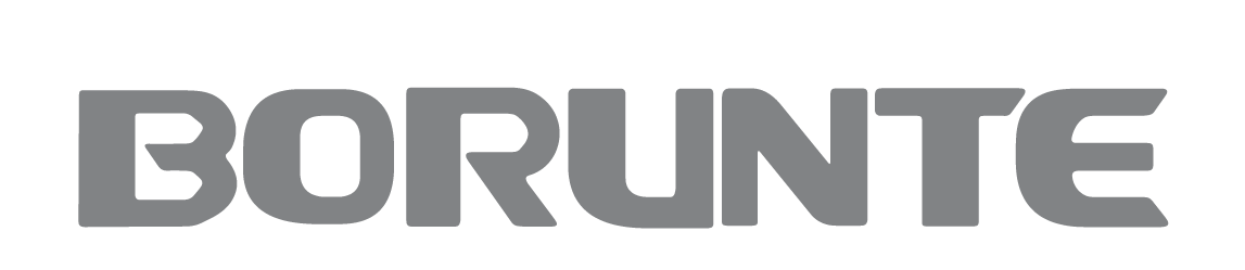 borunte logo borunte logo