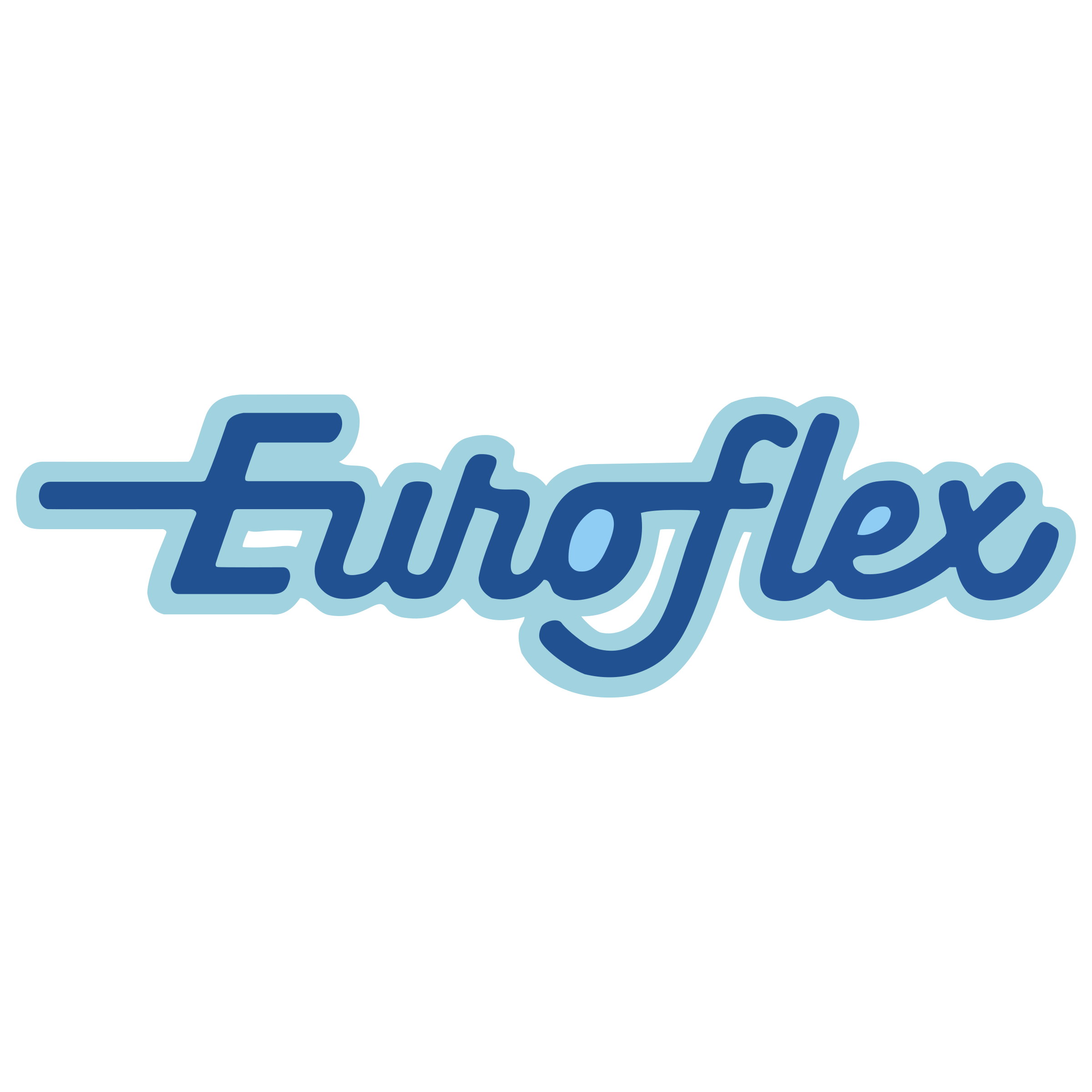 Euroflex logo Euroflex logo