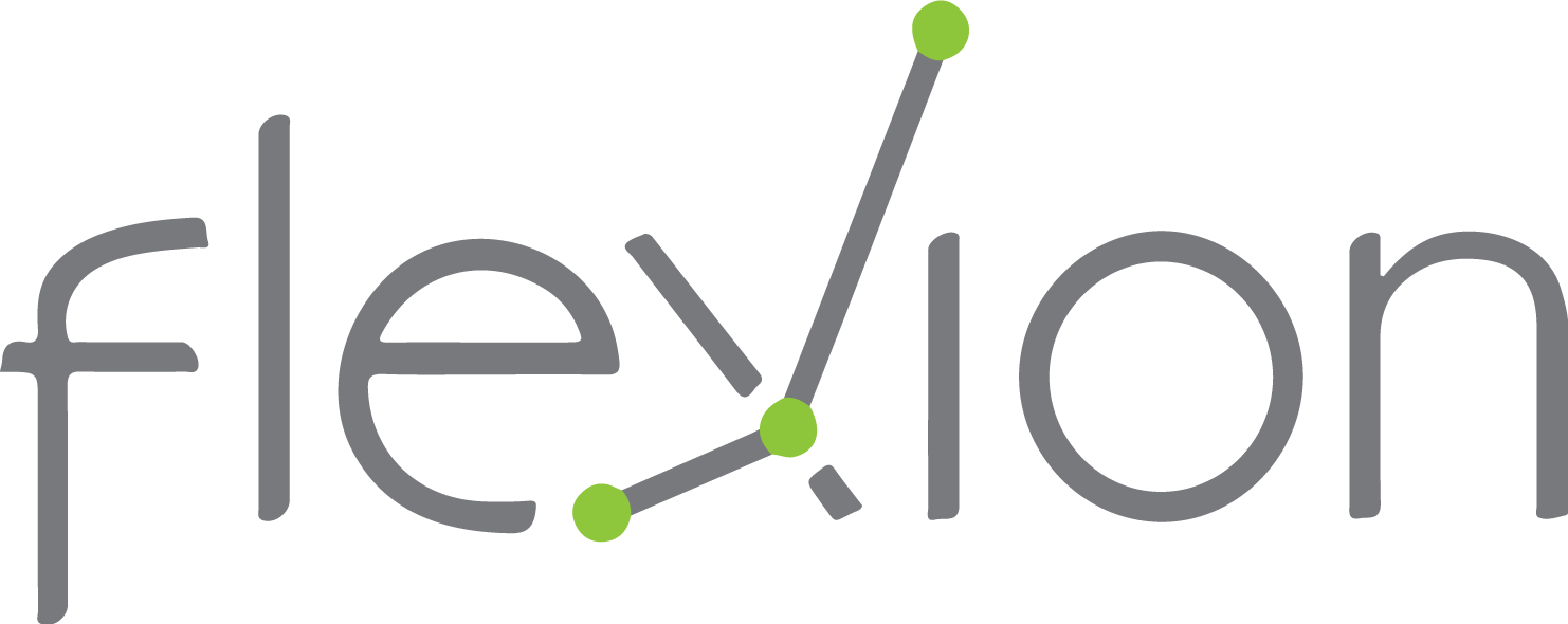 FLEXION logo FLEXION logo