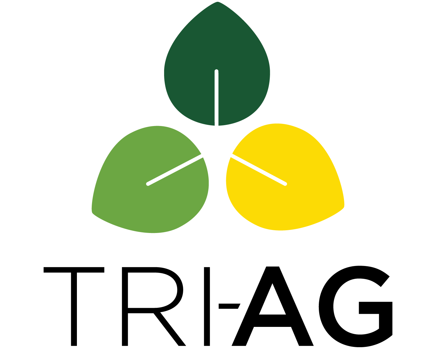 TRIAG logo TRIAG logo