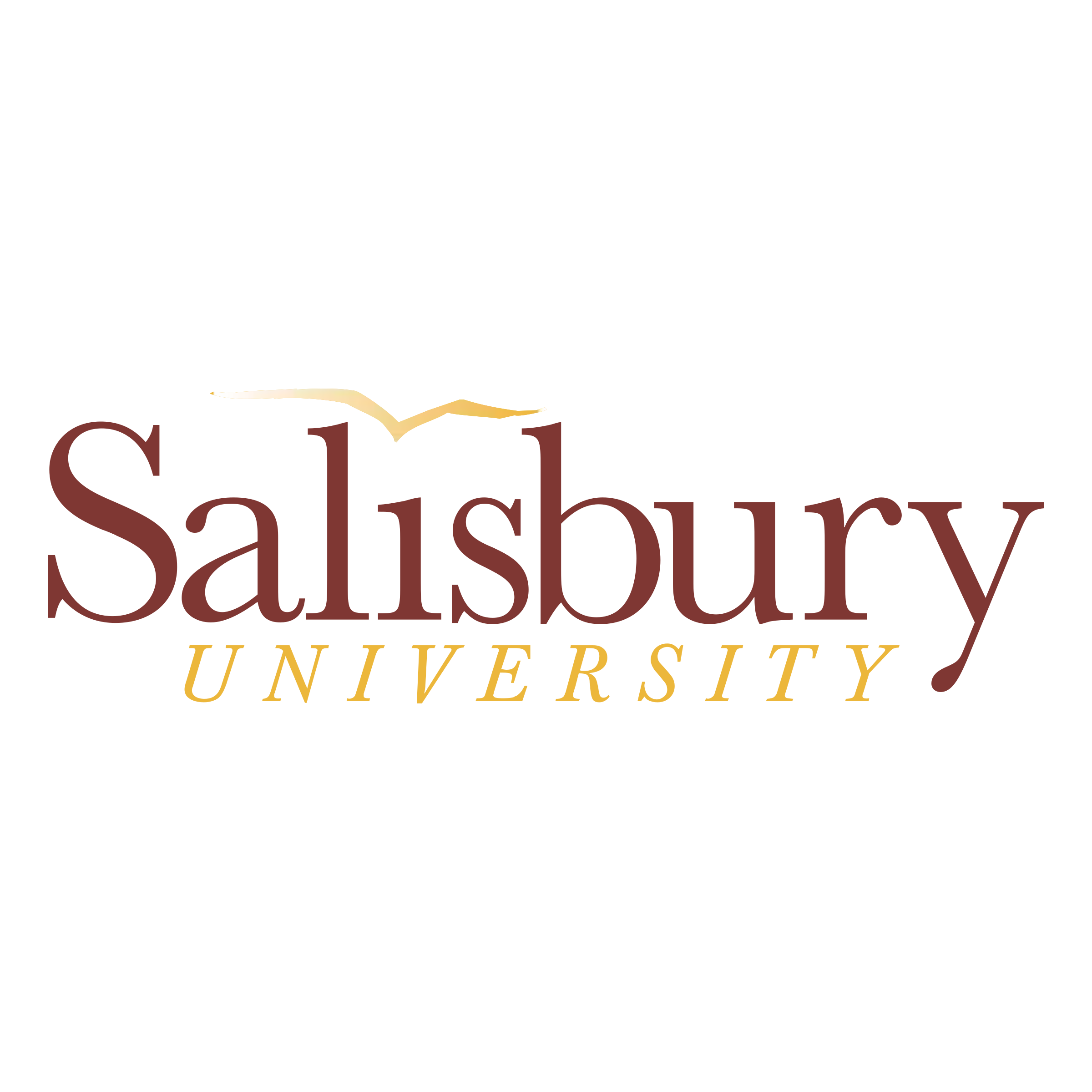 Salisbury logo Salisbury logo
