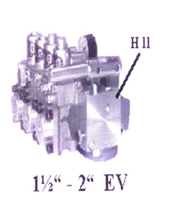 H11 