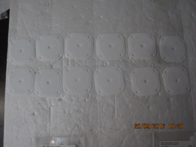 049734/WELLMEMBRANE N012.11 PTFE