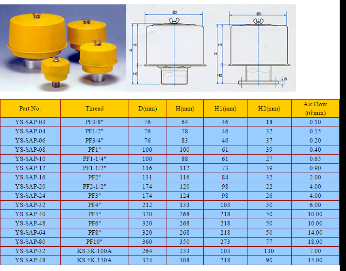 SAP-08-PP 