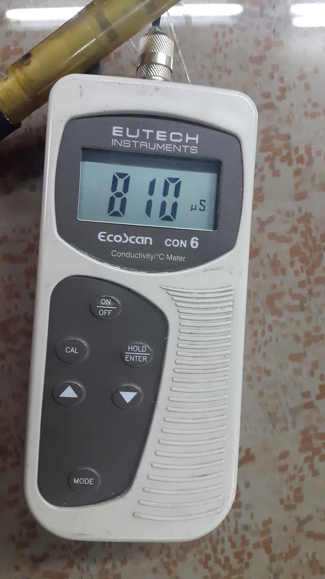 Cat-no.: ECCON603PLUSK    