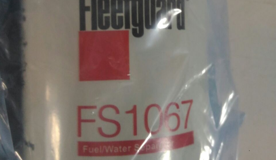 FS0106700 
