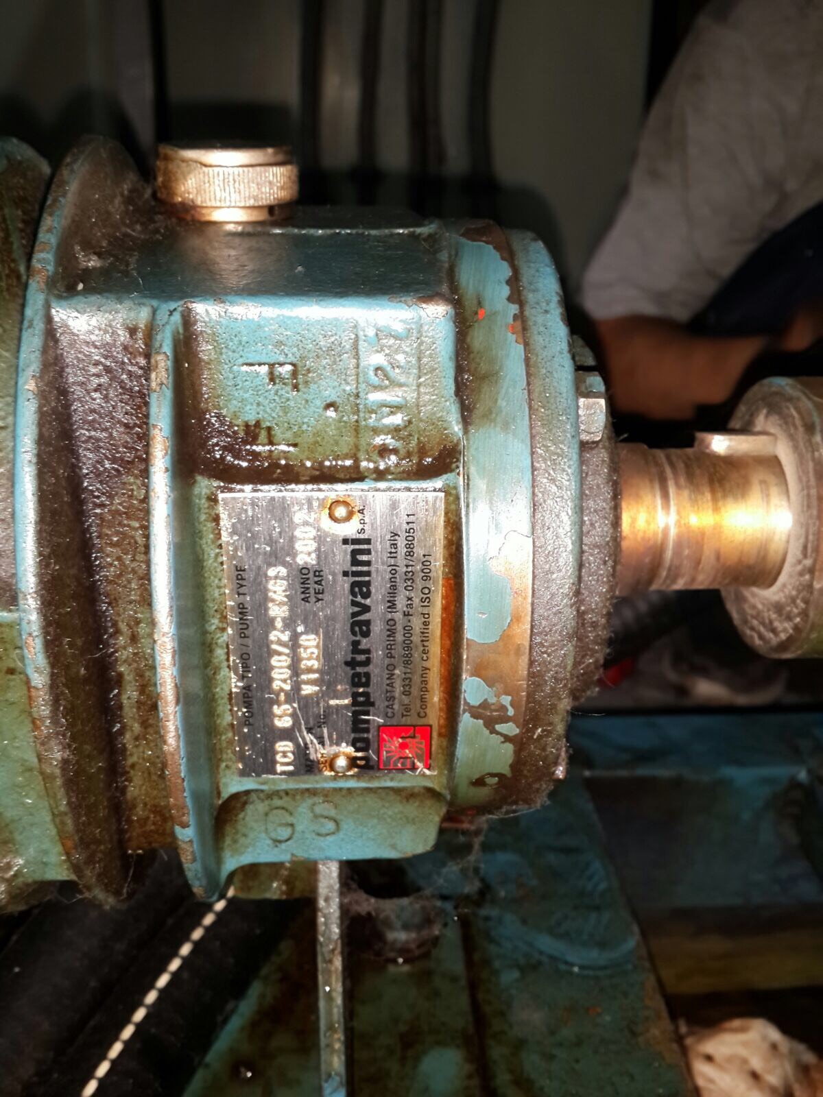 V1350 
