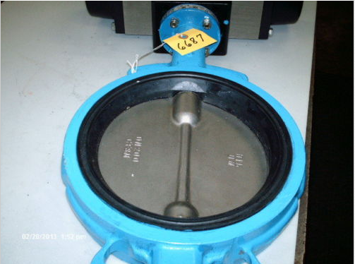 Sirca BFV 301 series, Wafer type PN16 