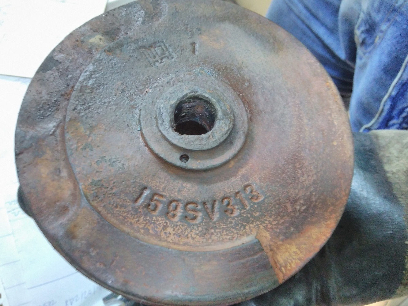 159SV313