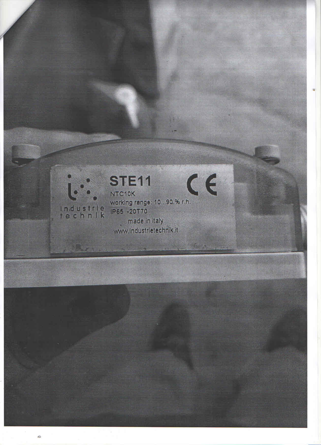 STE11 