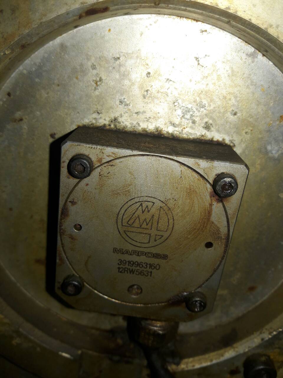 3919963160 