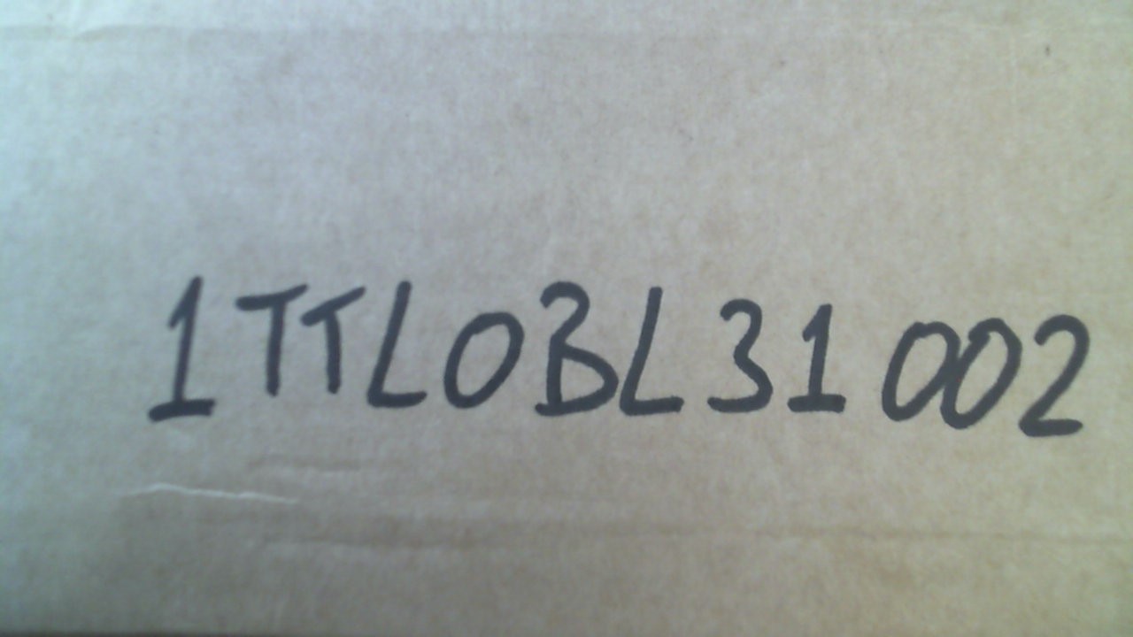 1TTL0BL31002