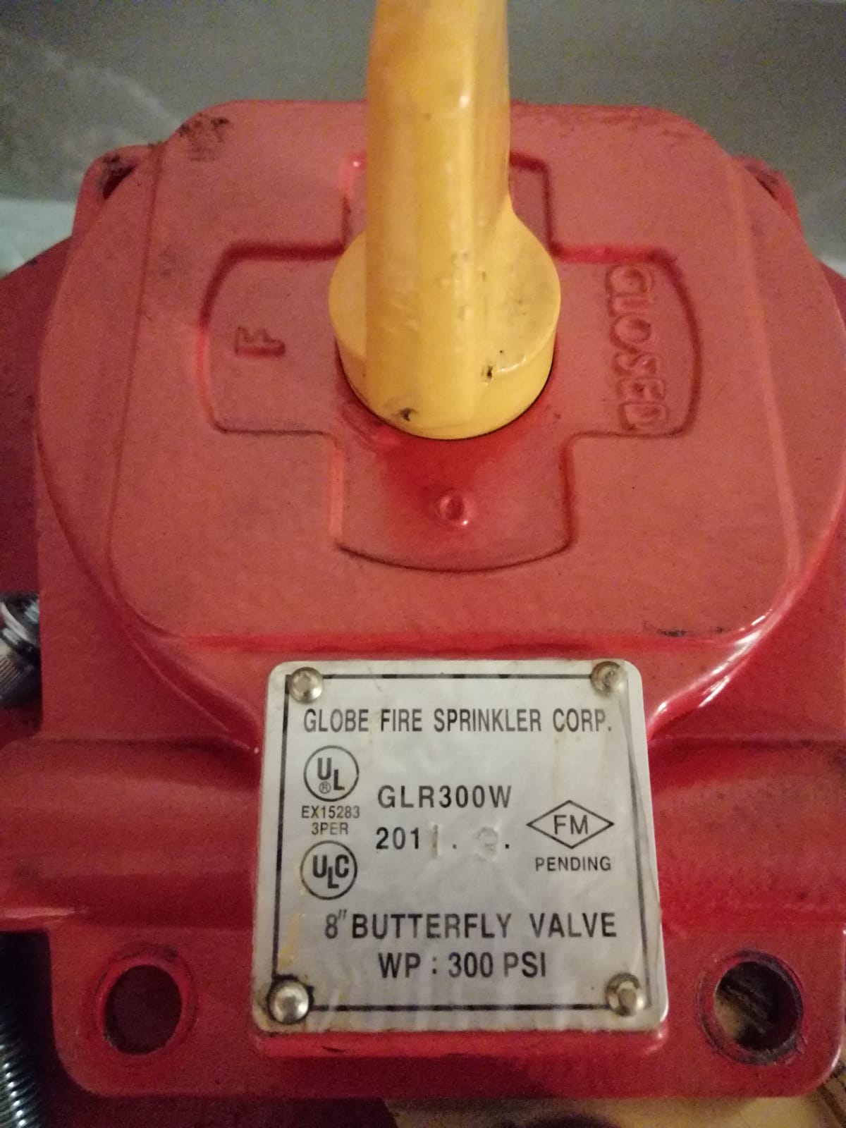 GLR300W, DN200 (8")