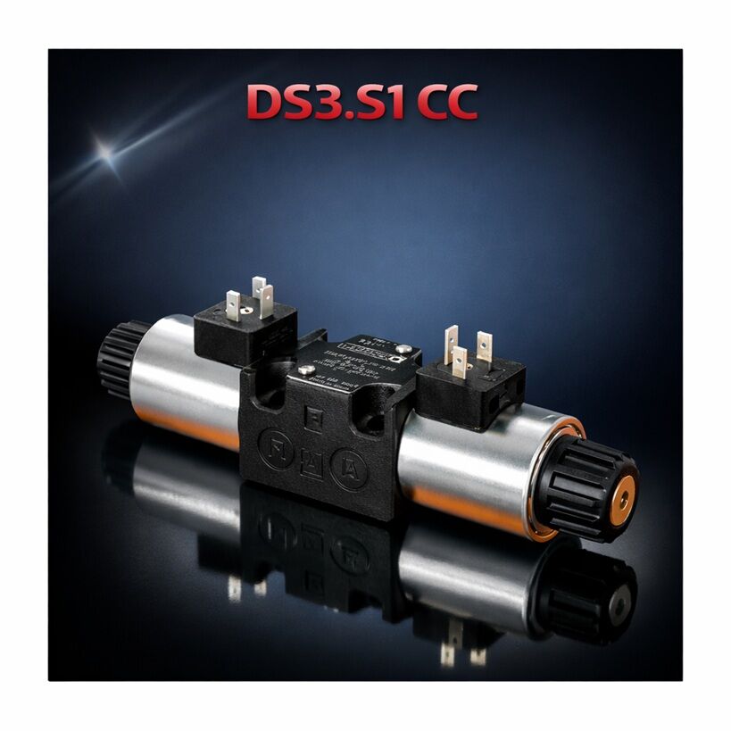 DS3-S1/11N-D24K1