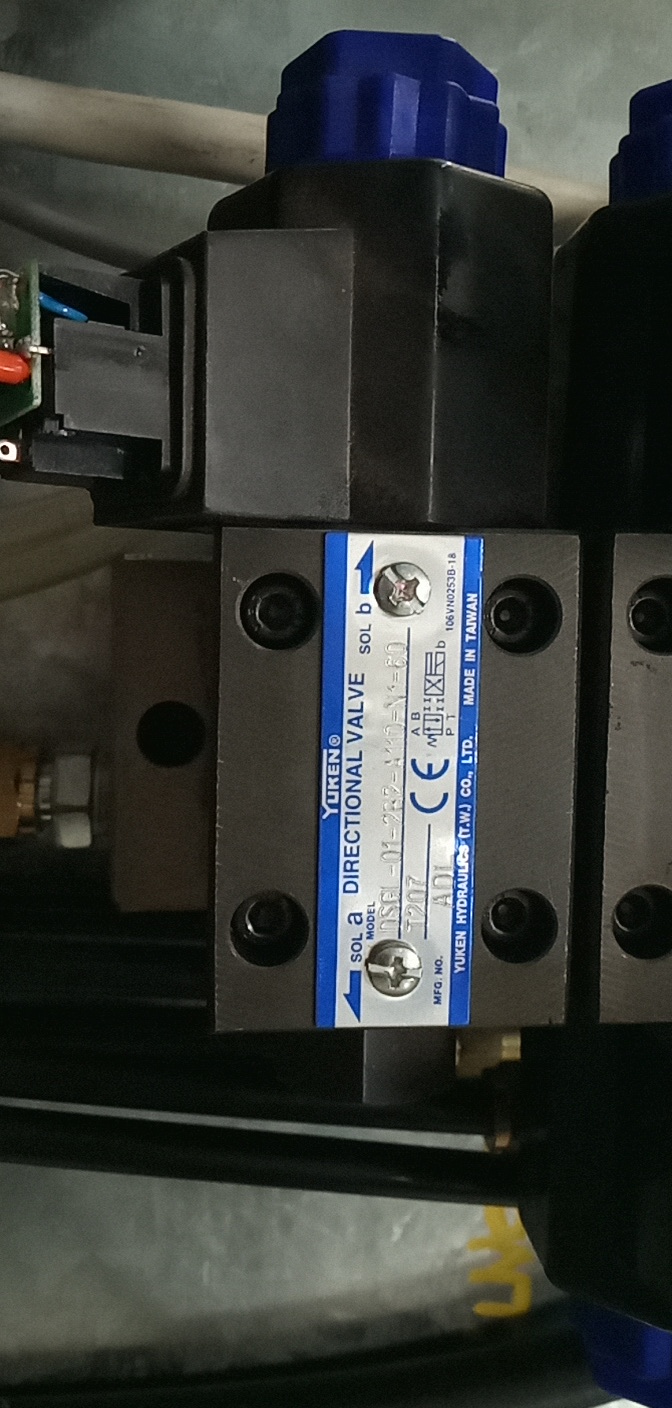 DSGL-01-2B2-A110-N1-60