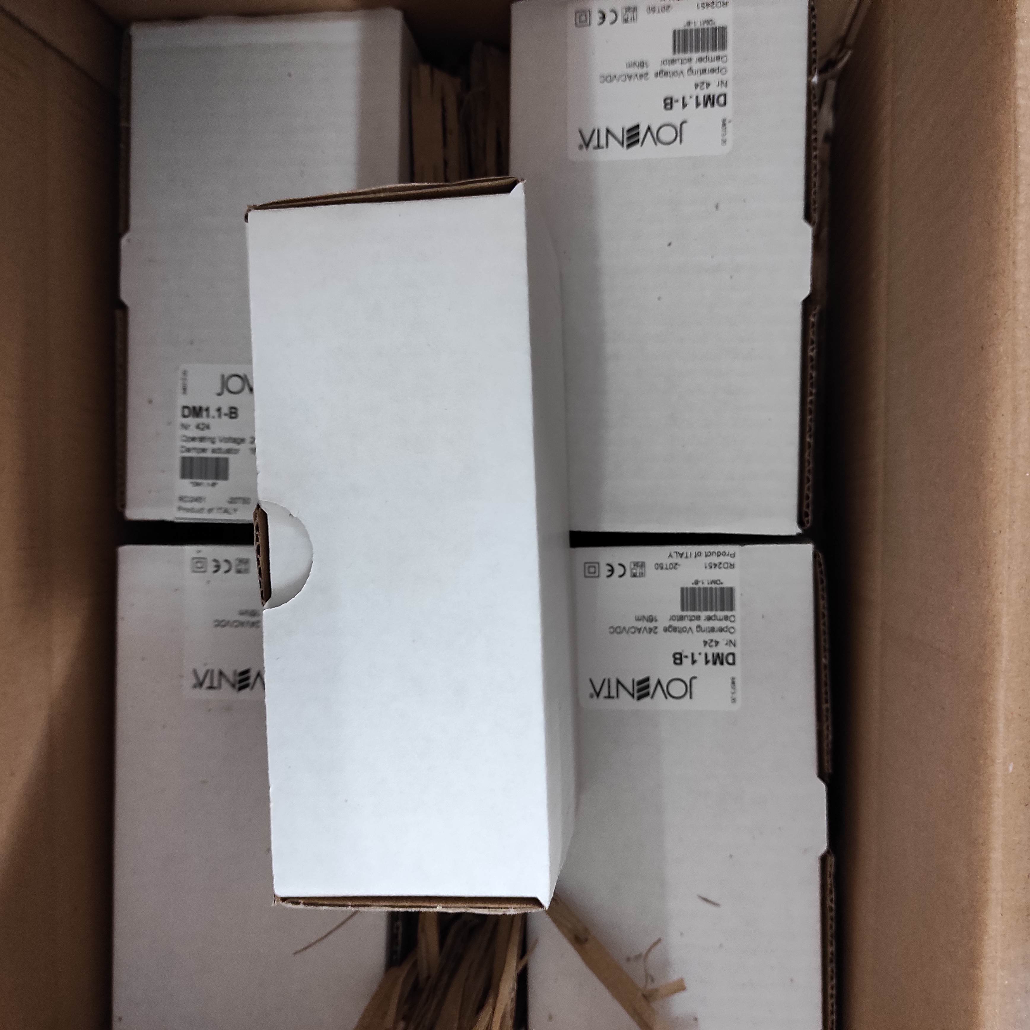 DM1.1-B