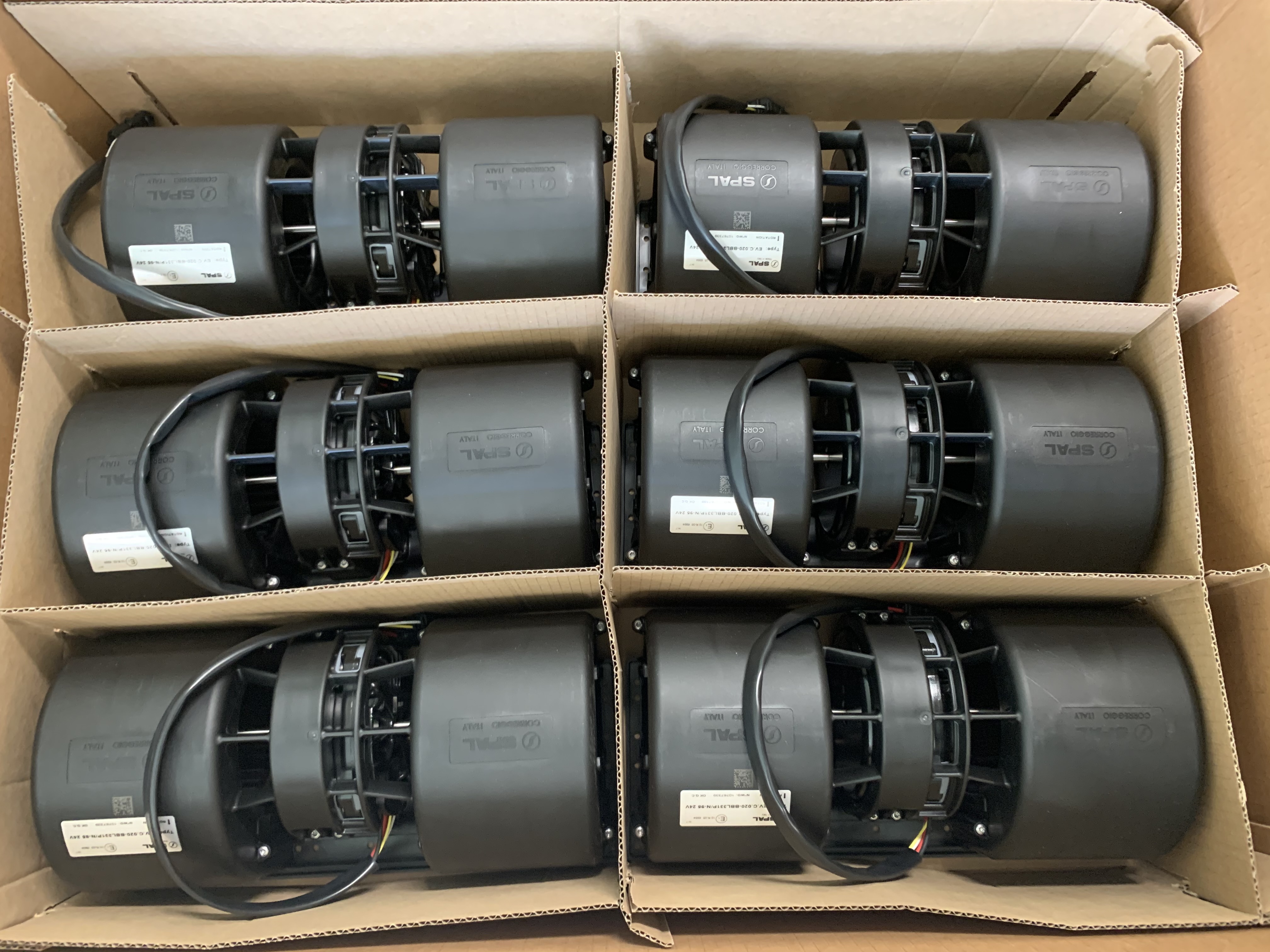 020-BBL331P/N-95 24V -W/PACK (Qty 6)