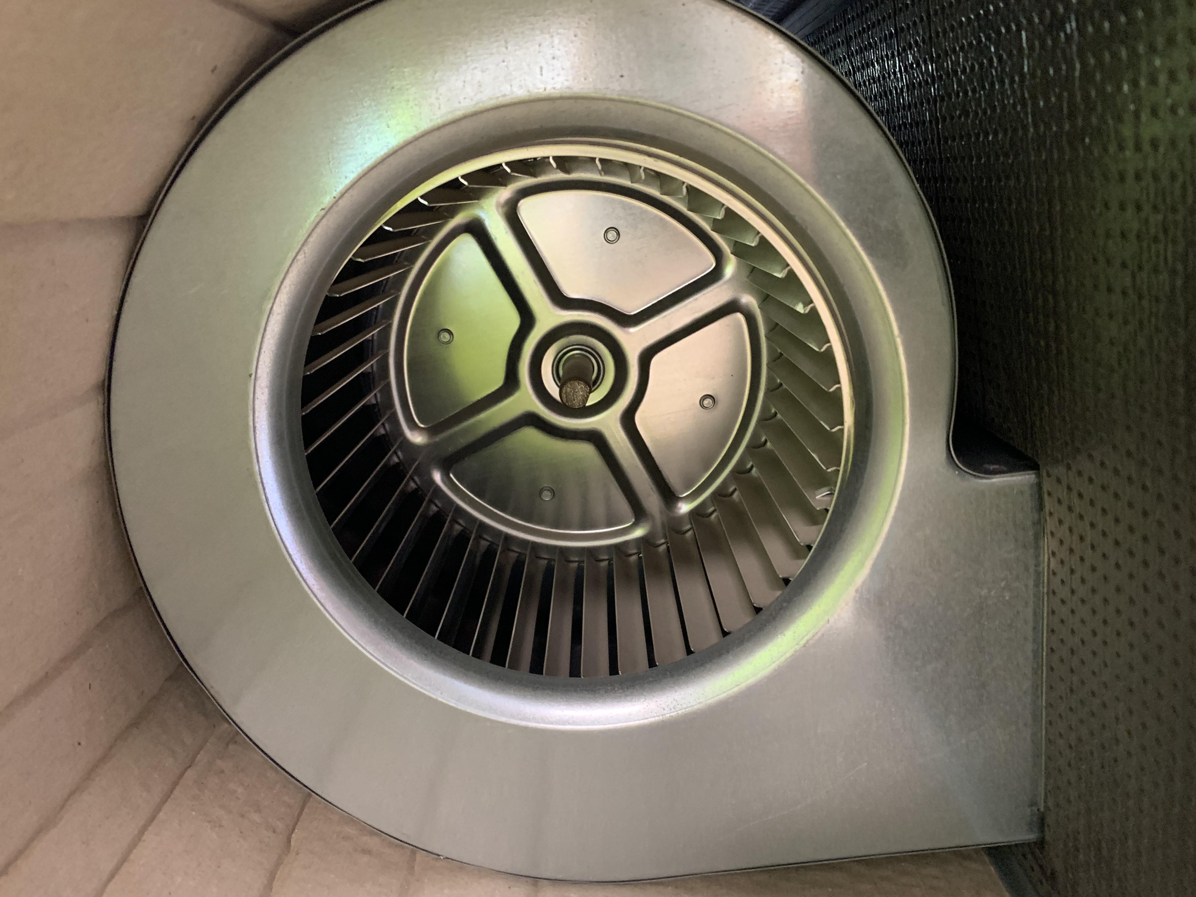 GRV-31