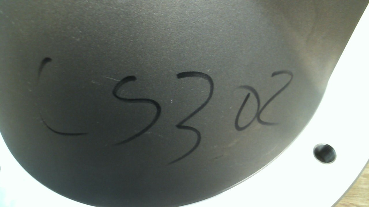 LS 302
