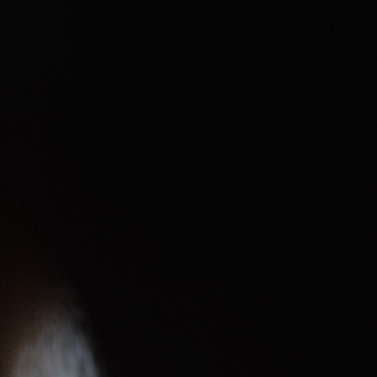 20093