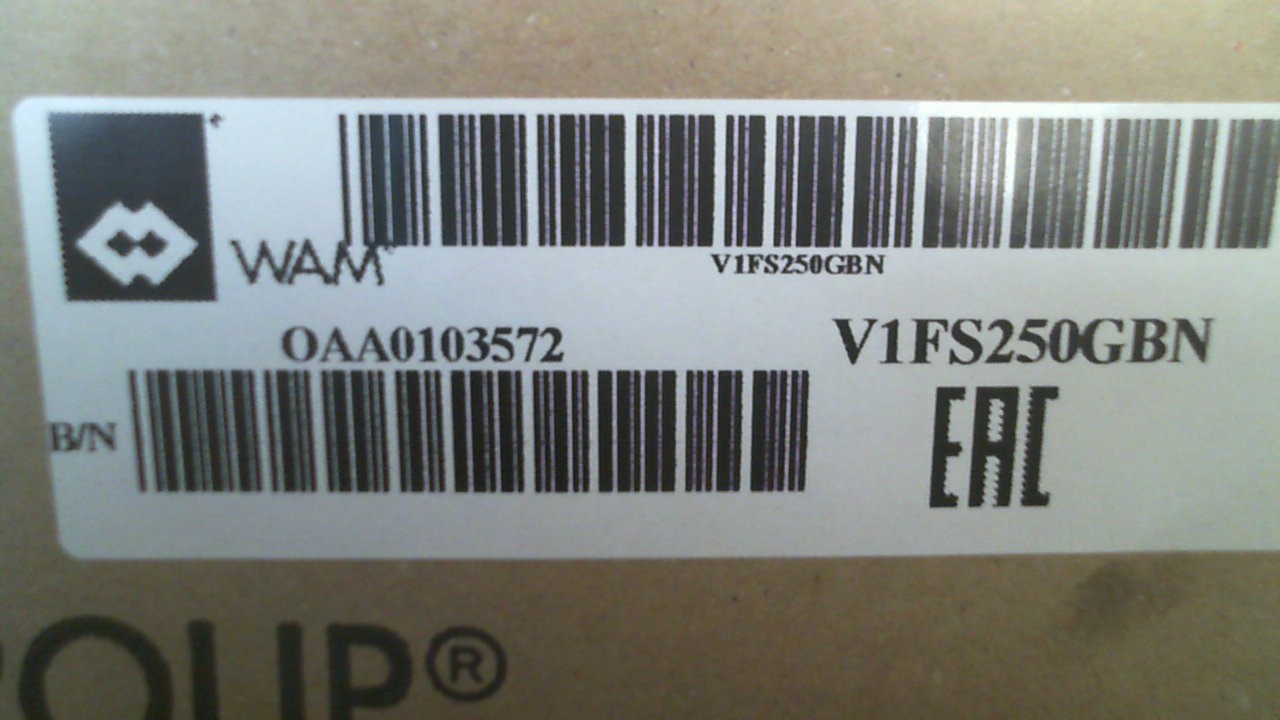 V1FS250GBN