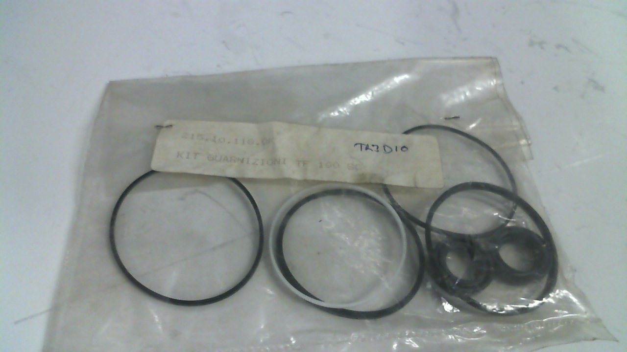 gasket for TFP100/2,6 D C001 /9D
