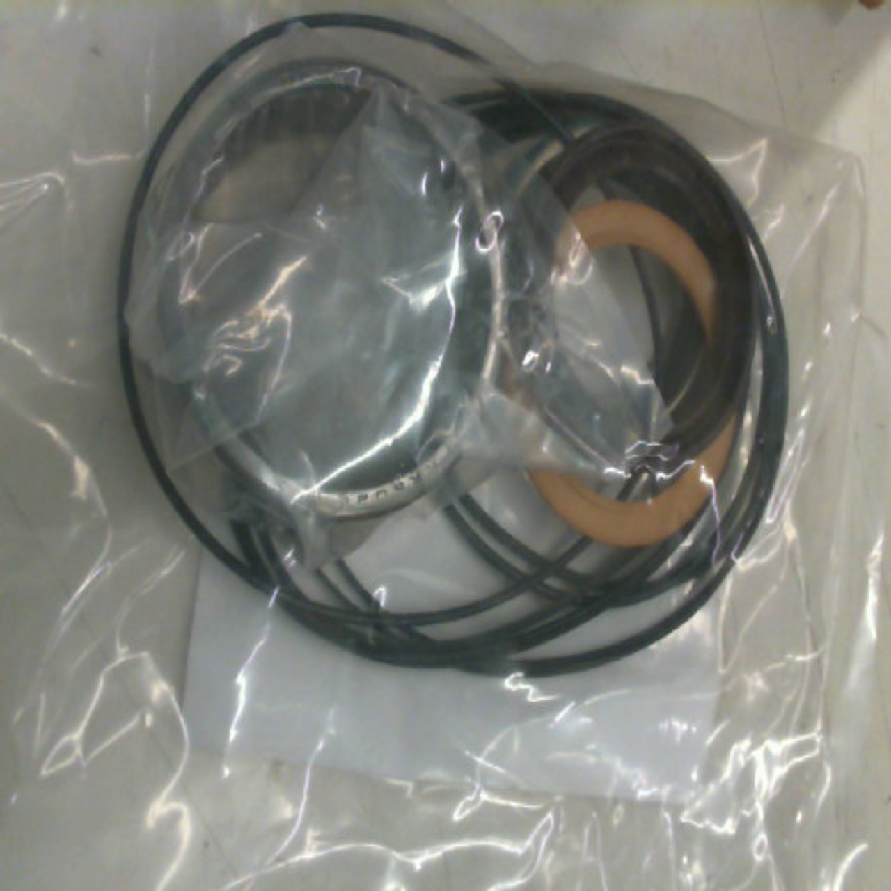 WHI 500444004