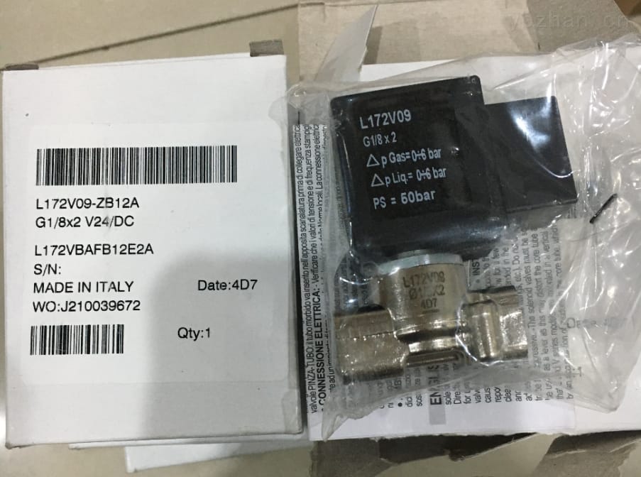 L172V09-ZB12A-24V/DC