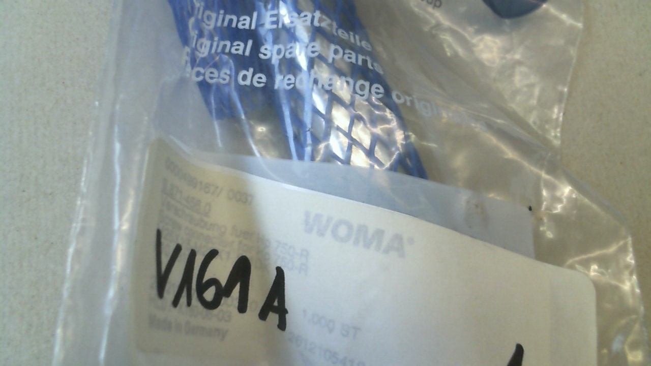 V161A