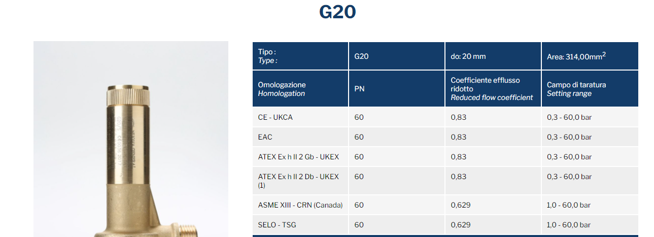 G20