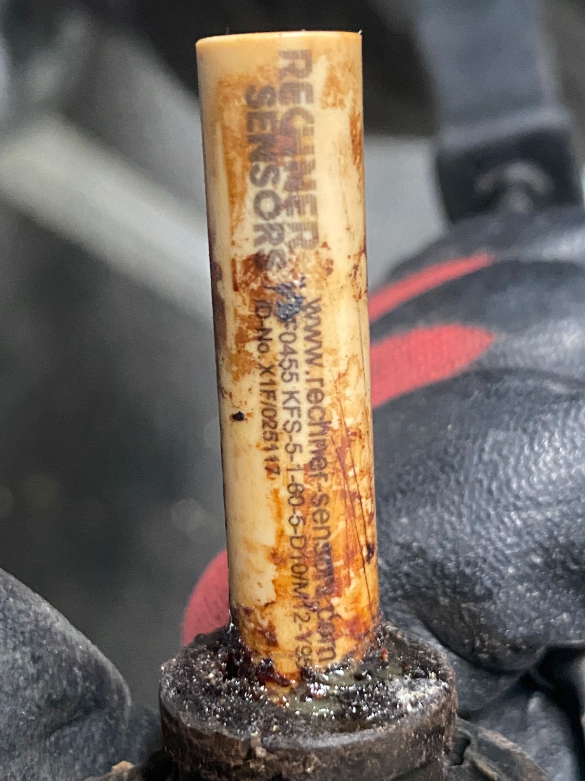 KFS-51-5-55-5-PEEK-D10-M12-X0E-Y95